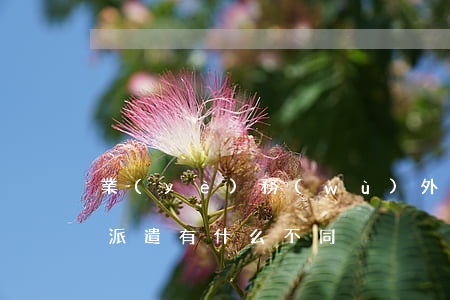 業(yè)務(wù)外包與勞務(wù)派遣有什么不同？
